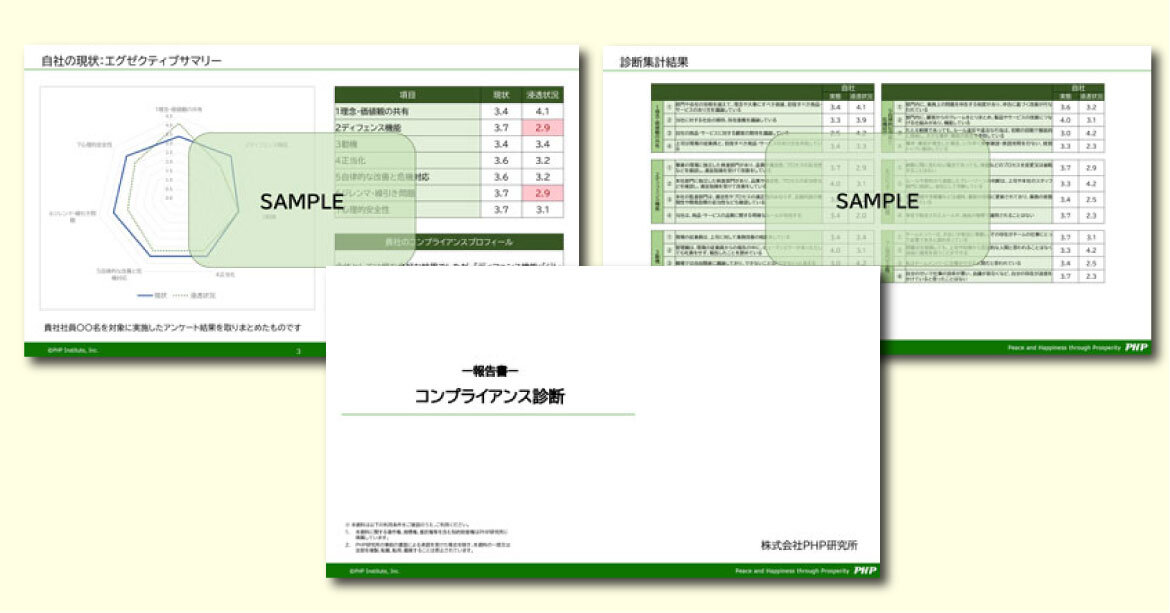 診断アウトプットイメージ