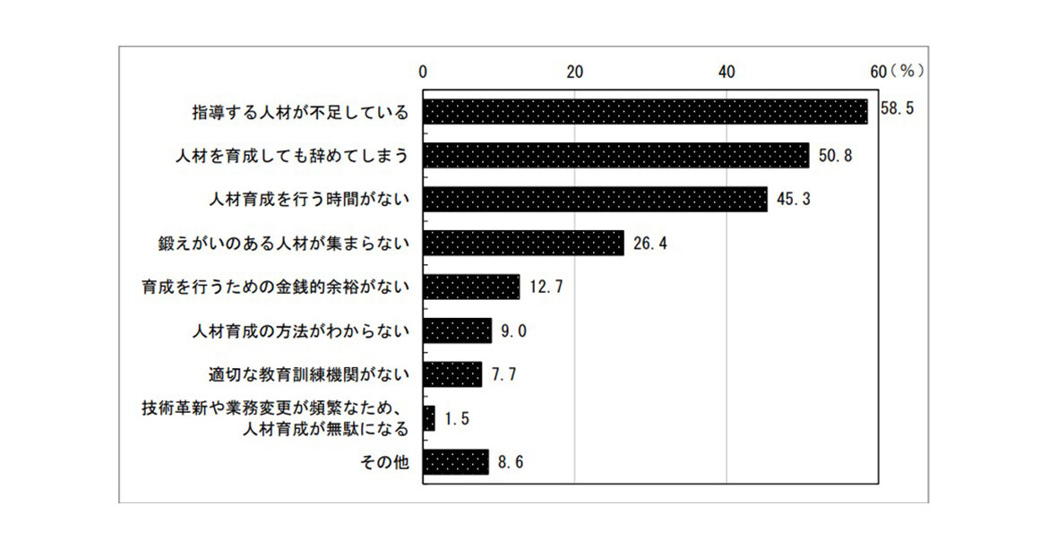 能力開発や人材育成に関する問題点の内訳